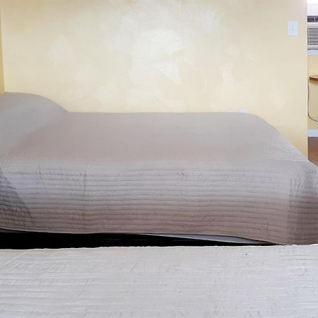 The Budget Inn Palatino Bridge المظهر الخارجي الصورة
